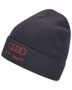 Bonnet Audi F1 Team