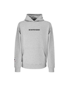 Sweat Gris Audi Kaipola 86