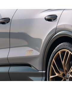 Autocollants 4 anneaux Bronze Mat pour Q4 Audi
